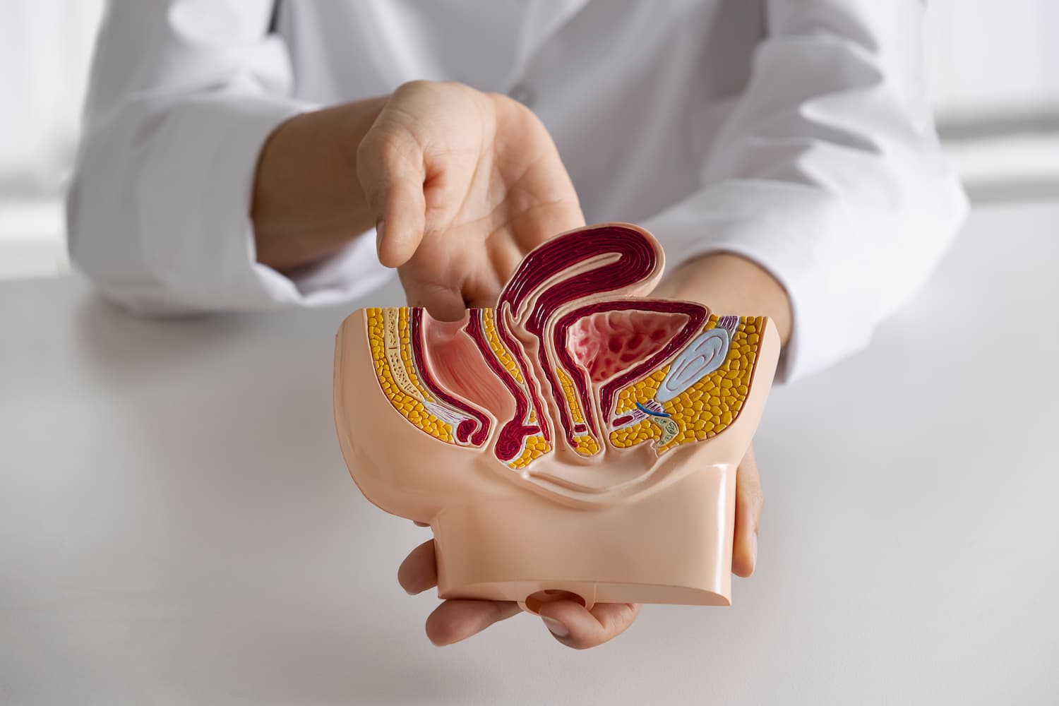 Hiperplasia Prostática Benigna - Dr. Fellipe Magalhães
